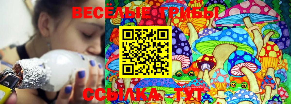 Галлюциногенные грибы мицелий Гулькевичи