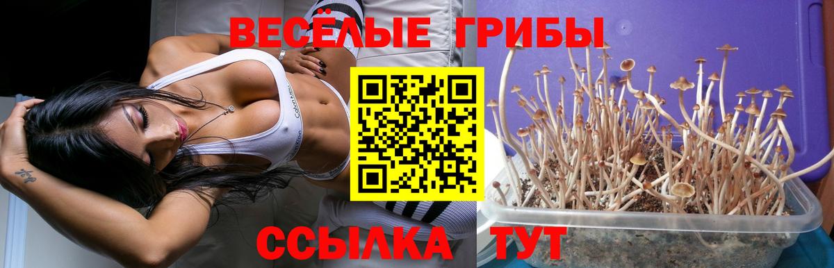 Гулькевичи  Галлюциногенные грибы прущие грибы  Вход с VPN 